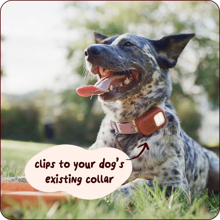 DogVibe Collar Module