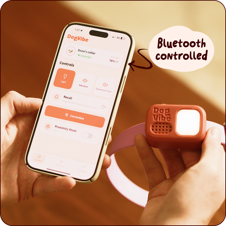 Phone-Controlled Training