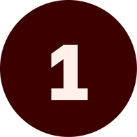 DogVibe Collar Module number